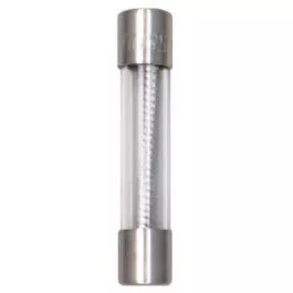 2-Pack 2A Type MDL Fuse