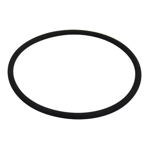 51X2.5 (V) | O-Ring (Viton)
