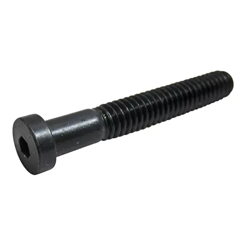 92220A188 | Low Socket Head Cap Screw (Pack of 10)
