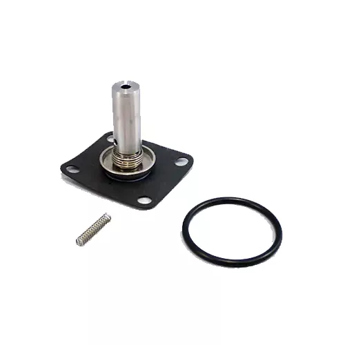 CKD | ADK11-20A-H-AC-PD-KIT | Plunger Diaphragm Assembly