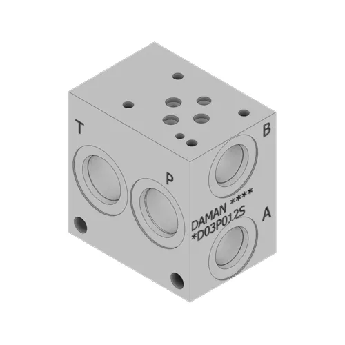 Daman | DD03P012S | Hydraulic Manifold