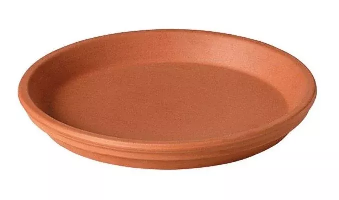 Deroma Terracotta Traditional Plant Saucer