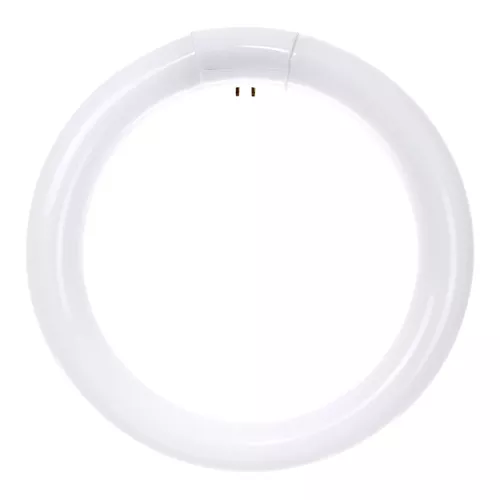 FCL-30W | Bulb