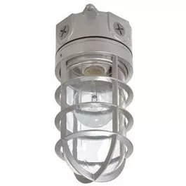 floodlight-with-bulb-guard-incandescent-100-watt Floodlight With Bulb Guard, Incandescent, 100-Watt