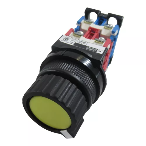 Fuji Electric | AR30S2R-22Y | Selector Switch