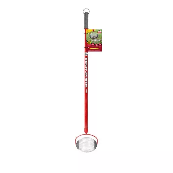 Garden Weasel Small Nut Gatherer