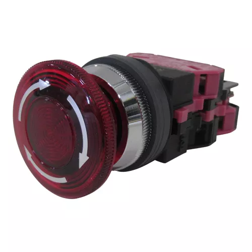 idec-avln32202dnr-pushbutton-switch IDEC | AVLN32202DNR | Pushbutton Switch