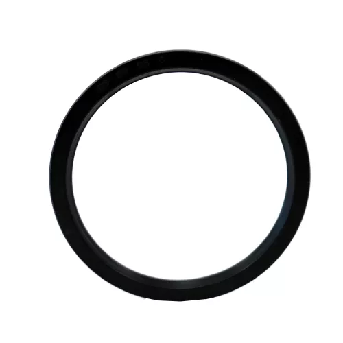 Keeper | DS-80X95X6 | Oil Seal