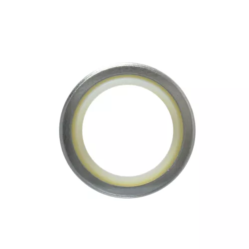 NOK | DKI-10X20X5/7 | Dust Seal