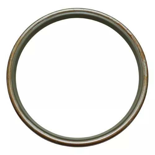 NOK | FD9938E1 | Oil Seal
