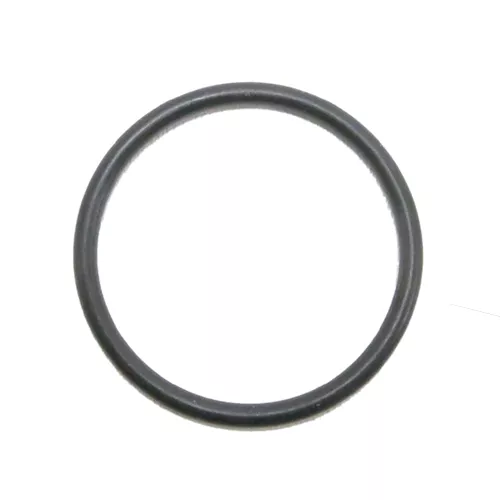 NOK | G-300 (V) | O-ring (Viton)