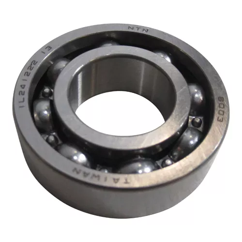 NTN | 6003 | Radial Ball Bearing