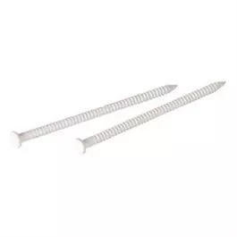 Panel Nails, White, 1-In., 1.5-oz.