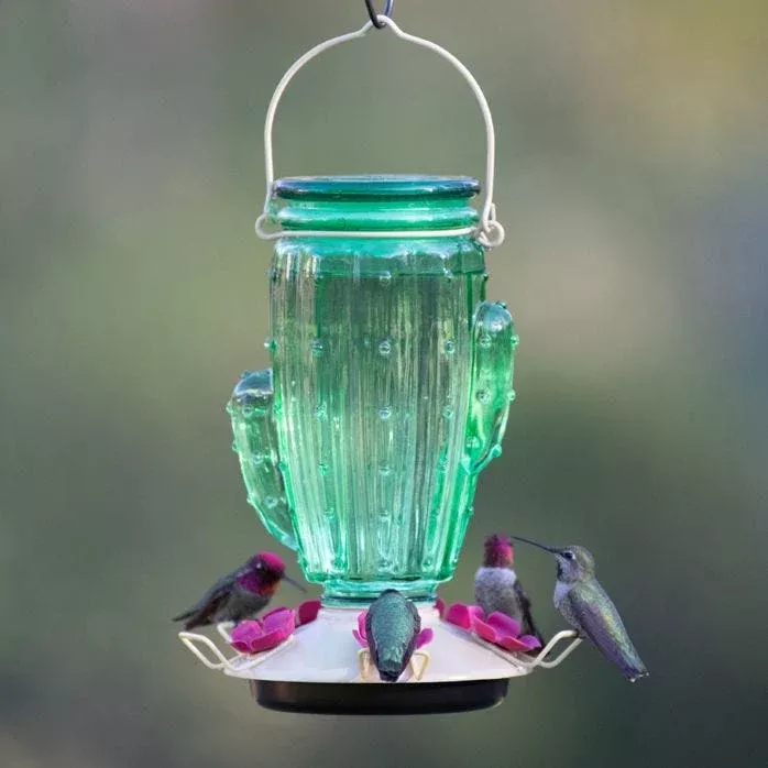 perky-pet-cactus-top-fill-hummingbird-feeder Perky-Pet Cactus Top-Fill Hummingbird Feeder