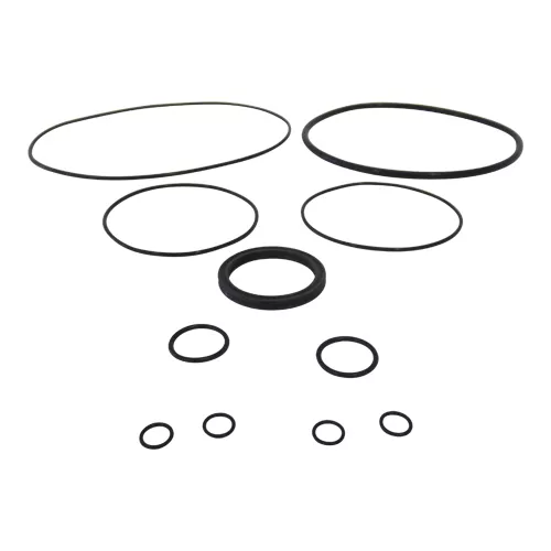 Schunk | 5518717 DSA PGN+240-SD | Seal Kit