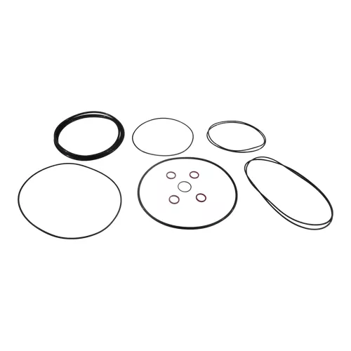 Schunk | 9980471 | Seal Kit