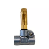 Showa | DPB-11-16 | Dester Plunger