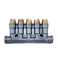 Showa | DPB-15-10 | Dester Plunger