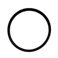 Sta-Rite | C20-121 | Gasket