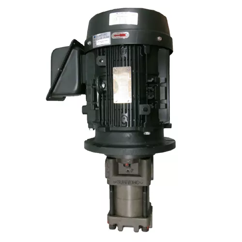 Sumitomo | CQTM43-25F-5.5-2-T-S1484-G | Pump/Motor