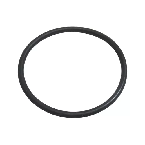 Wanner | C22-010-2113 | O-Ring Valve Seat (EPDM)