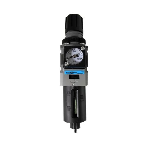 Wilkerson | B0802MG | Filter/Regulator